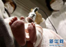 人大代表程京：新生儿出生缺陷筛查普及到全国各地