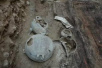 陶寺北发现大型春秋晚期墓葬