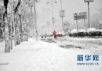 青岛继续发布道路结冰预警　高速限车限行