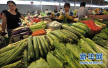 “双节”临近气温降低　未来一周郑州蔬菜价格还将上涨