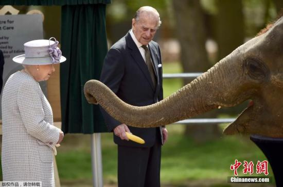 当地时间2017年4月11日，英国贝德福德郡，惠普斯奈德动物园的大象保育中心开幕仪式，英国女王伊丽莎白二世和菲利普亲王出席。