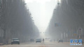 山东省人大常委会开展大气污染防治执法检查　重点检查这些问题