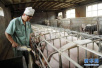 郑州猪瘟疫区封锁解除　其他地区生猪产品调运不受限制