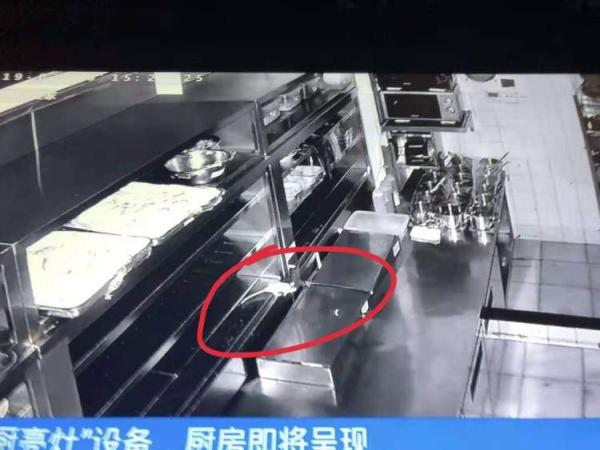 2019年3月18日，外婆家上海虹口龙之梦购物中心店，一只老鼠爬上了后厨案板。 周到上海 图