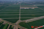 【黃河安瀾】中原農谷：打造種業“國之重器”