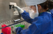 7天报告H7N9发病9例！禽类产品要煮沸2分钟
