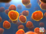 揭秘：一些细菌为何能够“吃”抗生素青霉素？
